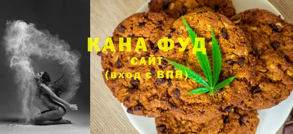 мдпв Касимов