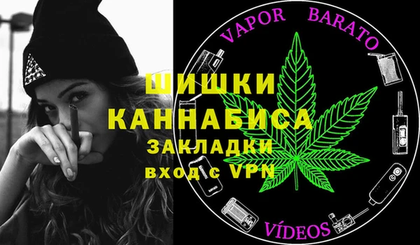 мдпв Касимов