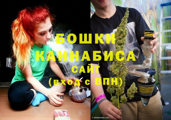 первитин Карпинск