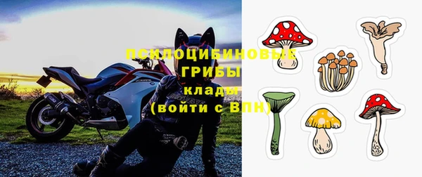 мдпв Касимов