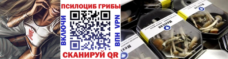 Купить где  Богородск  Галлюциногенные грибы Psilocybe 